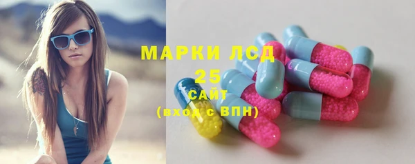 сатива Аркадак