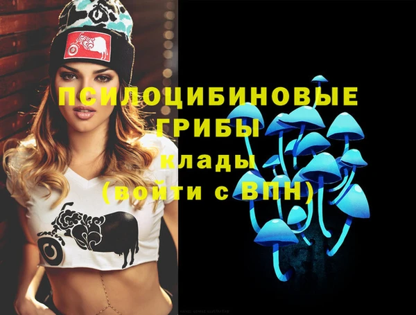прущий лед Армянск