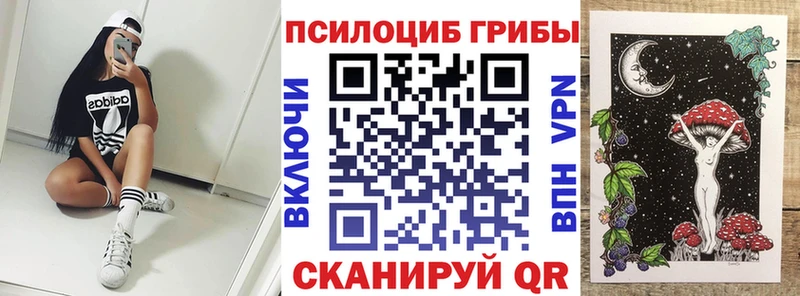 что такое наркотик  Павловский Посад  Галлюциногенные грибы Magic Shrooms 